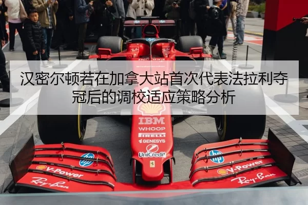 han-mi-er-dun-ruo-zai-jia-na-da-zhan-shou-ci-dai-biao-fa-la-li-duo-guan-hou-de-diao-xiao-shi-ying-ce-lve-fen-xi-2-551.jpg