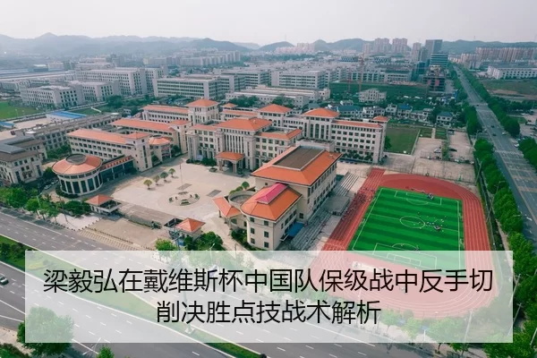 梁毅弘在戴维斯杯中国队保级战中反手切削决胜点技战术解析